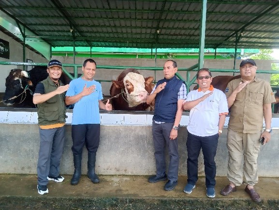 Pemilihan Sapi Bantuan Kemasyarakatan Presiden Ri Telah Dilaksanakan di Dinas Perikanan dan Peternakan Kabupaten Kuningan
