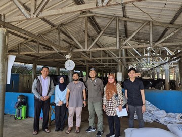Monitoring Sapi Perah Impor di Koperasi Larasati, Upaya Tingkatkan Produktivitas Susu