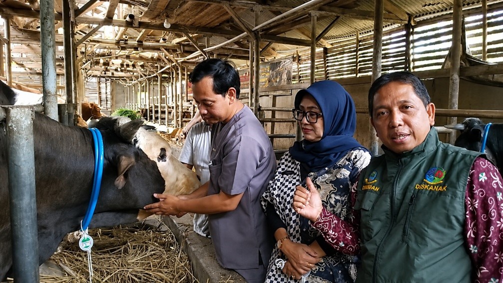 Jelang Idul Adha 1447 H, Diskannak Kuningan Periksa Kesehatan Hewan Kurban