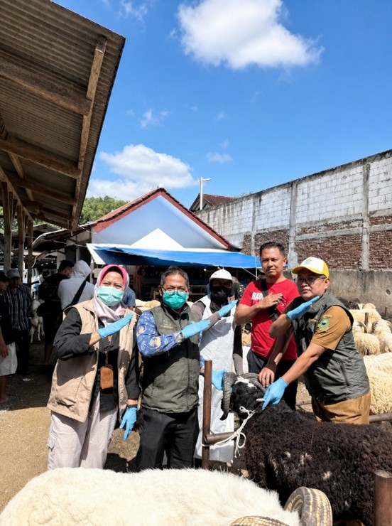 Pemeriksaan Hewan Kurban di Pasar Domba Awirarangan
