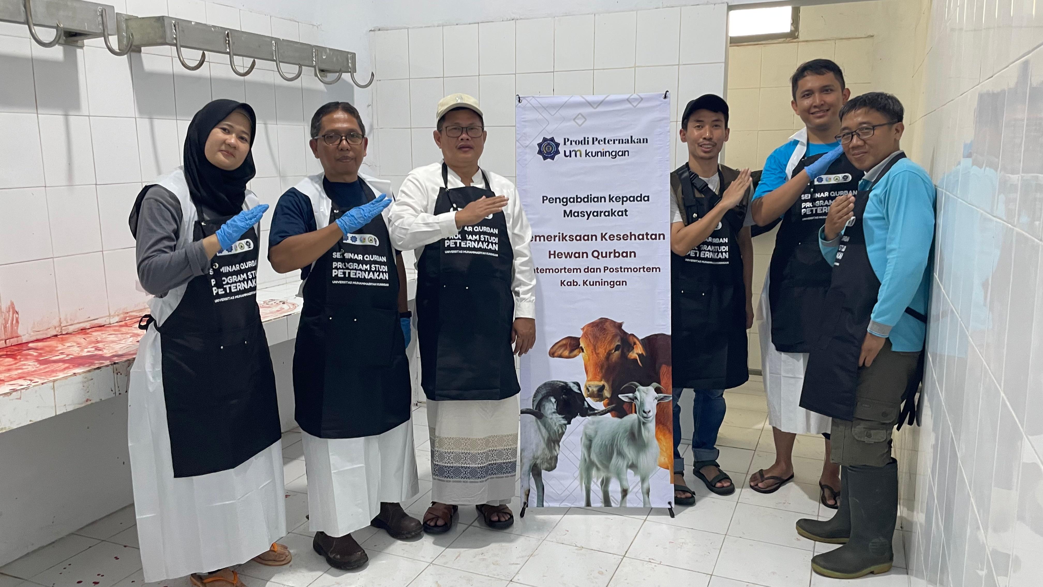 Pastikan Daging Kurban Aman, Sehat, Utuh, dan Halal (ASUH), Diskanak Kuningan Laksanakan Pemeriksaan Post Mortem Bersama Universitas Muhammadiyah Kuningan