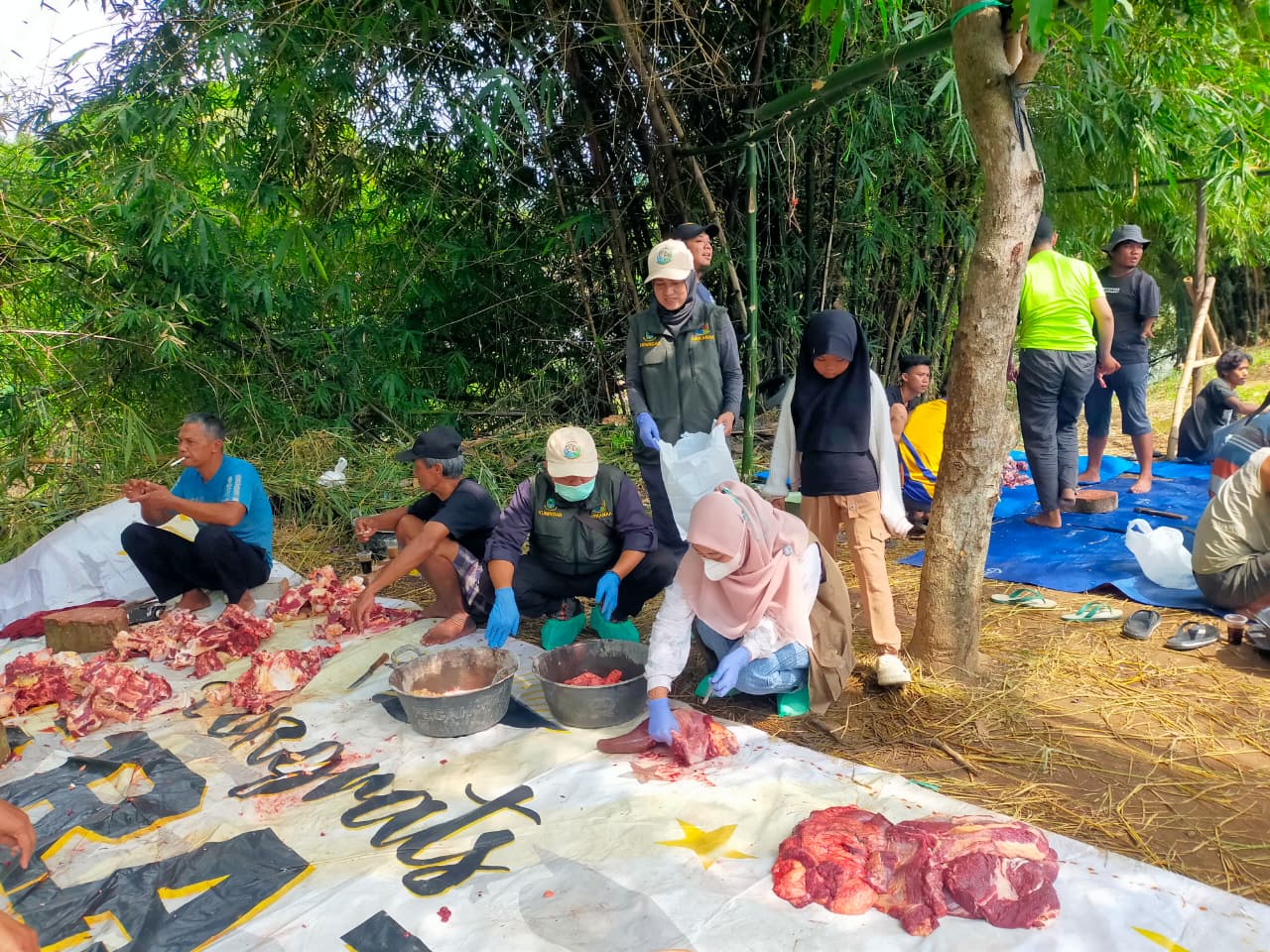 Pemeriksaan Post Mortem Hewan Kurban Tahun 2026 di Kabupaten Kuningan, Dukung Keamanan Pangan Asal Hewan