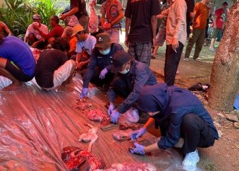 Pastikan Daging Aman, Dinas Perikanan dan Peternakan Kuningan Lakukan Pemeriksaan Post Mortem Ante Mortem Idul Adha
